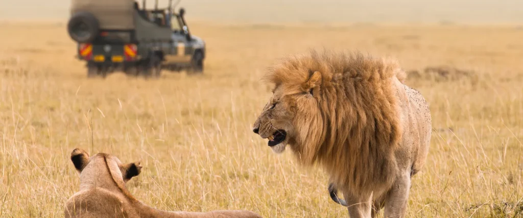 kenya