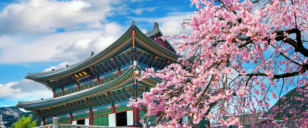 japan and south korea
