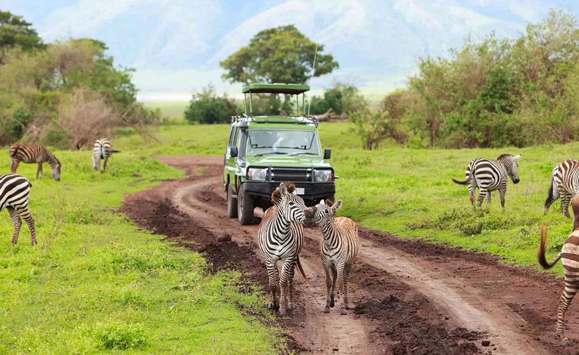 serengeti national park